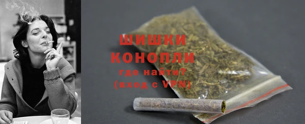 ГАЛЛЮЦИНОГЕННЫЕ ГРИБЫ Липки