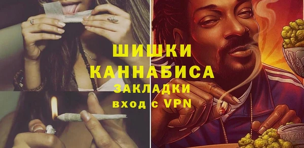 ГАЛЛЮЦИНОГЕННЫЕ ГРИБЫ Липки