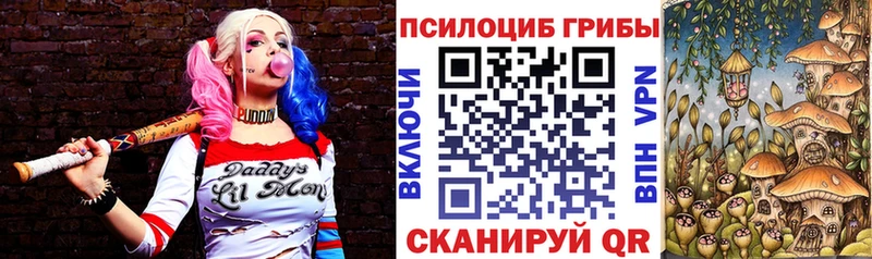 Галлюциногенные грибы прущие грибы  закладка  ссылка на мегу маркетплейс  Нижнеудинск 