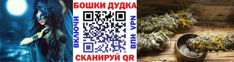 Бошки марихуана SATIVA & INDICA  продажа наркотиков  Нижнеудинск 